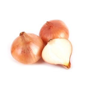 Brown Onions Wholesale