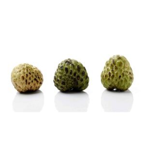 Custard Apples Wholesale