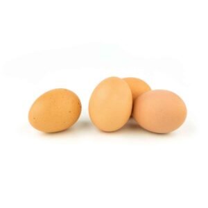 Eggs Wholesale