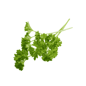 Flat Parsley Wholesale