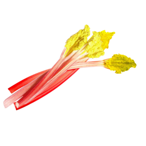 Forced Rhubarb