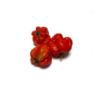 Habanero Chillies Wholesale