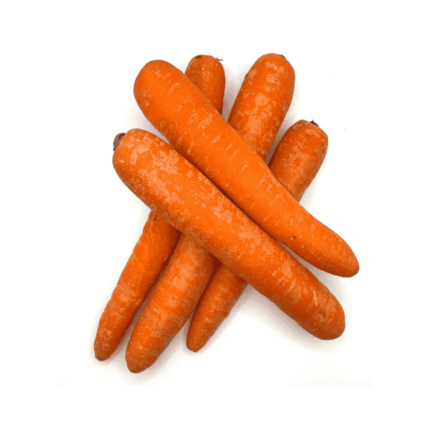 Hydro Cooled Carrots Wholesale