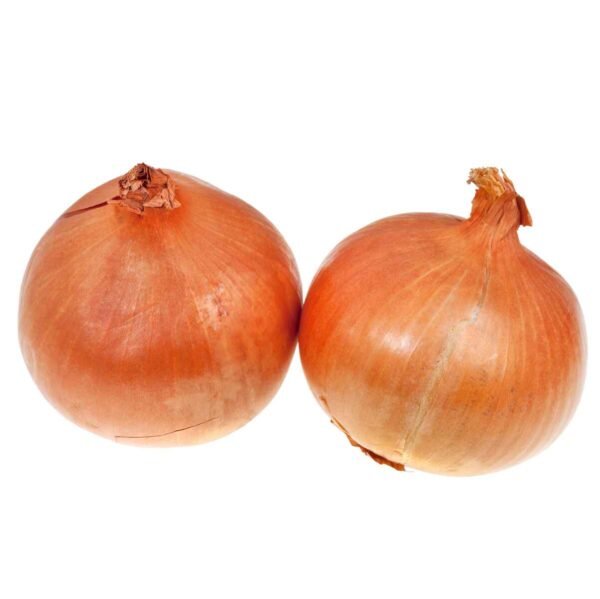 Large Brown Onions Wholesale