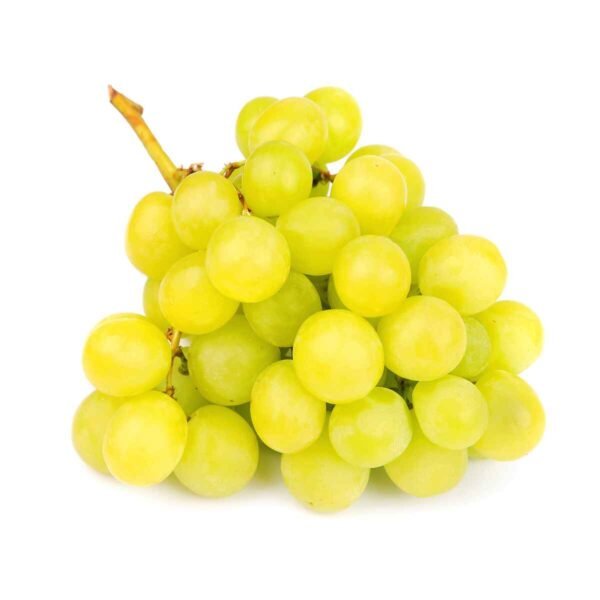 Lavinia White Grape Wholesale