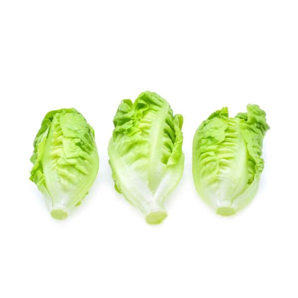 Little Gem Lettuce - Image 2