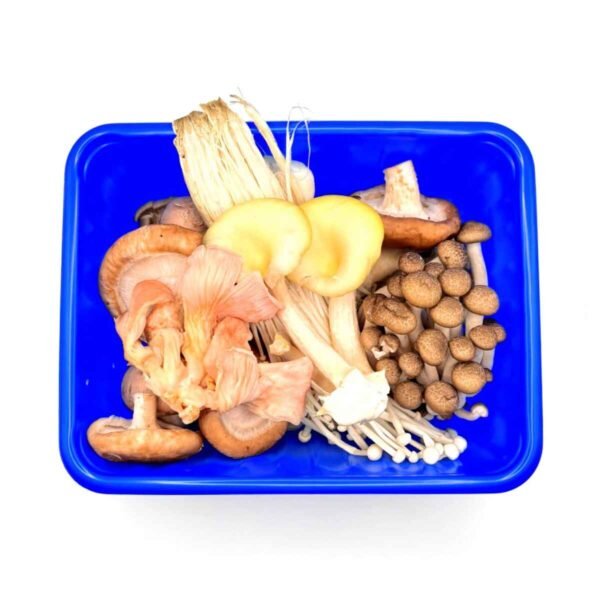 Mixed Wild Mushrooms Wholesale