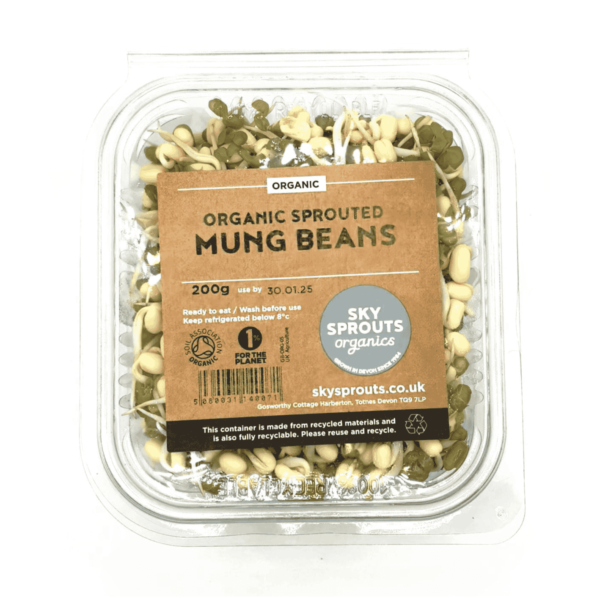 Mung Beans Wholesale