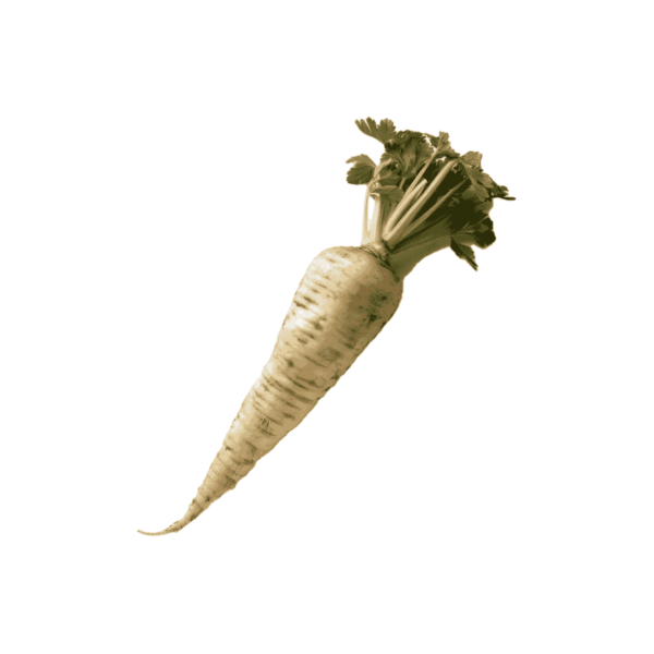 Parsnips Wholesale