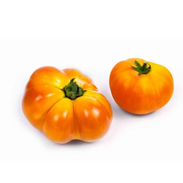 Pineapple Tomatoes Wholesale