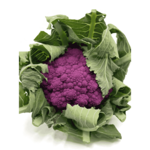 Purple Cauliflower Wholesale