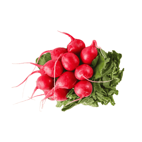 Radish Wholesale