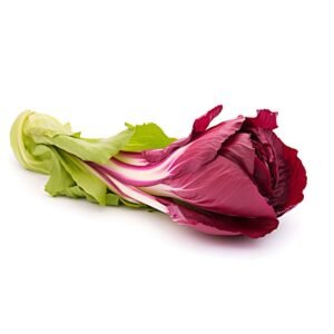 Red Chicory Wholesale