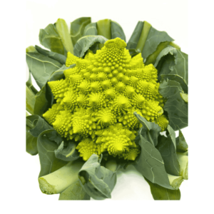 Romanesco Cauliflower Wholesale