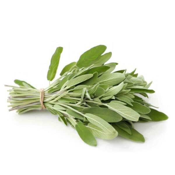 Sage Wholesale