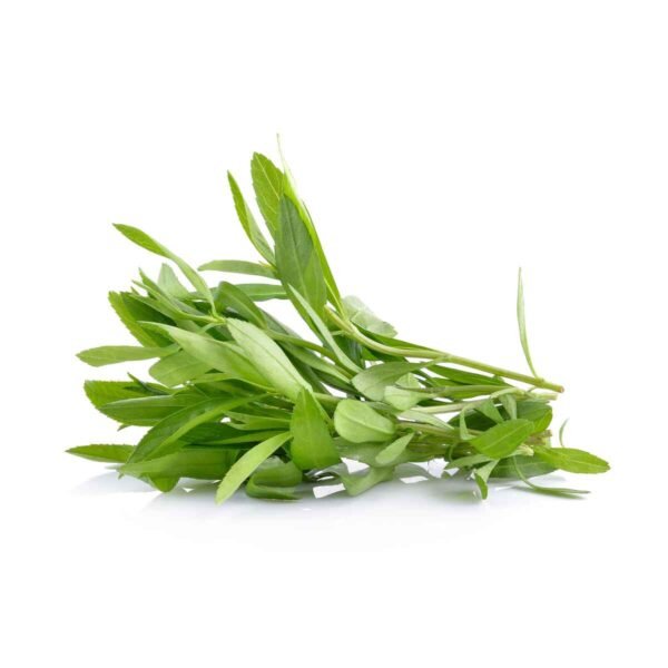 Tarragon Wholesale