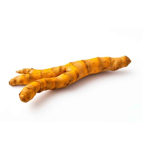 Turmeric Wholesale