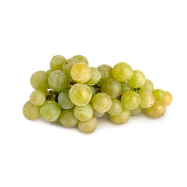 White Grapes Wholesale