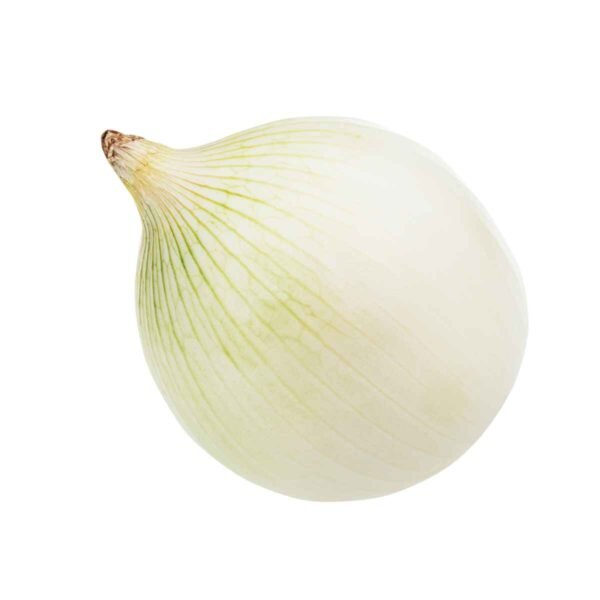 White Onions Wholesale